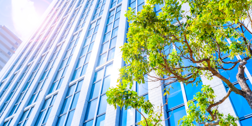 LittleStep_top_company